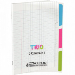 CAHIER 17X22 PIQUE 96P 3 INDEX PP 17X22 SEYES