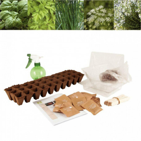 ASSORTIMENT DE 30 SACHETS DE GRAINES AROMATES BIO