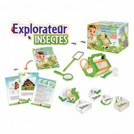 EXPLORATEUR INSECTES