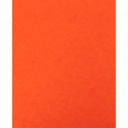 LOT DE 10 PROTÈGE-CAHIER 2 GRANDS RABATS  FORMAT 18 X 22 CM CARTE LUSTRÉE COLORIS ORANGE