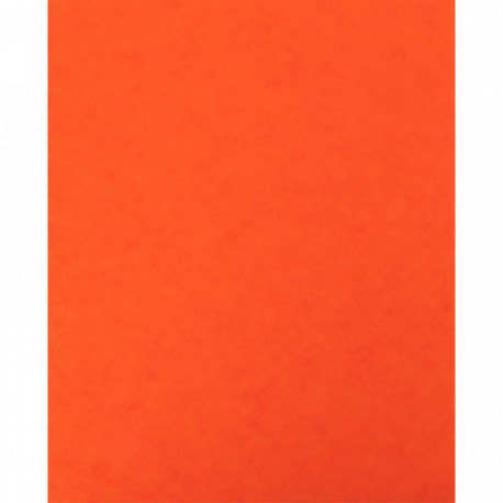 LOT DE 10 PROTÈGE-CAHIER 2 GRANDS RABATS  FORMAT 18 X 22 CM CARTE LUSTRÉE COLORIS ORANGE