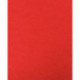 LOT DE 10 PROTÈGE-CAHIER 2 GRANDS RABATS  FORMAT 18 X 22 CM CARTE LUSTRÉE COLORIS ROUGE