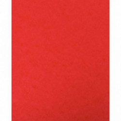 LOT DE 10 PROTÈGE-CAHIER 2 GRANDS RABATS  FORMAT 18 X 22 CM CARTE LUSTRÉE COLORIS ROUGE