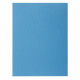 CHEMISES  BLEU *PQT 100* ROCK'S 220 210G  PEFC FAB FRANCE 24X32