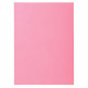 SOUS-CHEMISES ROSE PQT 250 PEFC FAB FRANCE SUPER 60G 22x31