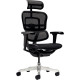 FAUTEUIL ERGOHUMAN ULTRA SYNCHRONE NOIR ASS.REGL.SUPP.LOMB.DOSS.REGL.HAUT.RESILLE ULTRARESPIRANTE ACC 5D TETIERE REGL.150KG