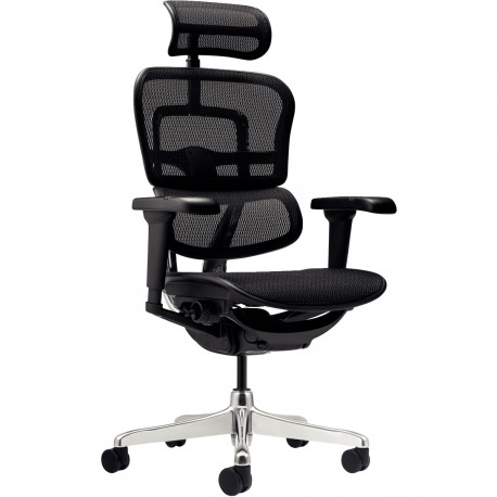 FAUTEUIL ERGOHUMAN ULTRA SYNCHRONE NOIR ASS.REGL.SUPP.LOMB.DOSS.REGL.HAUT.RESILLE ULTRARESPIRANTE ACC 5D TETIERE REGL.150KG