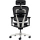 FAUTEUIL ERGOHUMAN ULTRA SYNCHRONE NOIR ASS.REGL.SUPP.LOMB.DOSS.REGL.HAUT.RESILLE ULTRARESPIRANTE ACC 5D TETIERE REGL.150KG