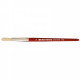 10 PINCEAU BROSSE RONDE N16