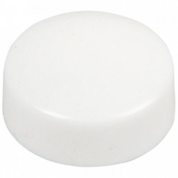 AIMANT 12MM BLANC PQT10  MAGNÉTIQUE