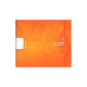 CAHIER 17X14.7 24P DL5 MM I/V 70G PIQUE CALLIGRAPHE