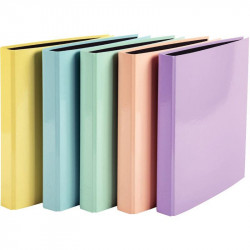  CLASSEUR A4 4 ANNEAUX PQT 10 ASSORTIS AQUAREL DOS40 100 % RECYCLABLE 74% RECYCLE FAB FRANCE EXACOMPTA  P230F
