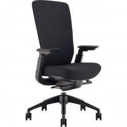 FAUTEUIL ERGONOMIQUE RAMSÈS NOIR SYNCHRONE PROF.ASS.REGL.SUPP.LOMB.DOSS.RESILLE ACC.REGL.135KG GAR 5 ANS 