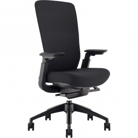 FAUTEUIL ERGONOMIQUE RAMSÈS NOIR SYNCHRONE PROF.ASS.REGL.SUPP.LOMB.DOSS.RESILLE ACC.REGL.135KG GAR 5 ANS 
