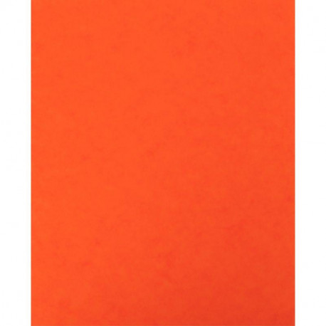 LOT DE 10 PROTÈGE-CAHIER 2 GRANDS RABATS  FORMAT 18 X 22 CM CARTE LUSTRÉE COLORIS ORANGE