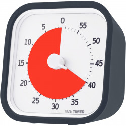 MINUTEUR TIME TIMER MOD 60 MINUTES