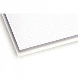 PAPIER  BRISTOL 200 GR FORMAT 50X65 CM UNI BLANC PQT25F