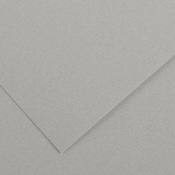 PAQUET DE 10 FEUILLES COLORLINE 50X65 CM 150 G GRIS CLAIR