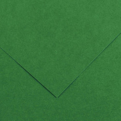 PAQUET DE 10 FEUILLES COLORLINE 50X65 CM 150 G VERT MOUSSE