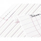 PAQUET DE 25 AFFICHES IMPRIMÉES, DOUBLE LIGNES 3 MM, 60 X 80 CM