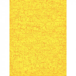 POCH30F P/DECOPATCH FANTAISIE