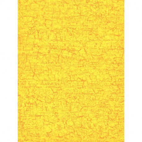 POCH30F P/DECOPATCH FANTAISIE