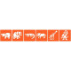 POCHOIRS PLASTIQUE ANIMAUX SAUVAGES LOT DE 6