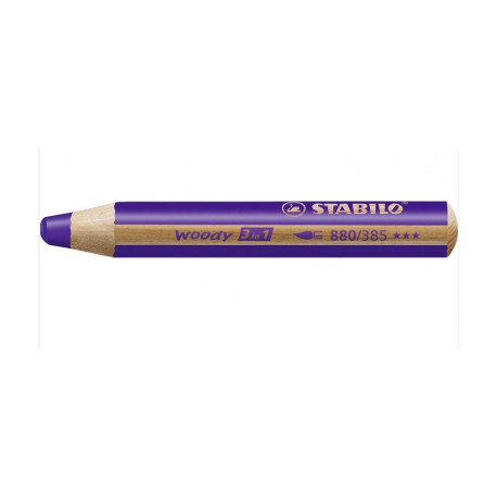 CRAYON DE COULEUR WOODY VIOLET LOT X5