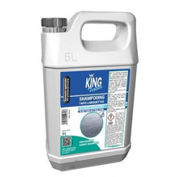 LOT X2 BIDON 5L SHAMPOING MOQUETTE INJECTION/EXTRACTION PARFUM CITRON