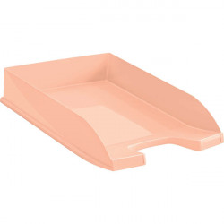 CORBEILLE A  COURRIER FIRST PECHE