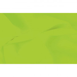 PAQUET DE 240 FEUILLES DE PAPIER DE SOIE 75X50CM VERT