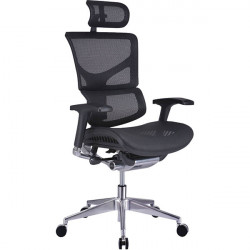 SIEGE FAUTEUIL ERGONOMIQUE MEMPHIS TRANSLATION ASSISE ACCOUDOIRS 4D TETIERE 2D DOS/ASSISE RESILLE NOIR SOUTIEN LOMBAIRE