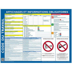 AFFICHE INFORMATIONS OBLIGATOIRES CODE DU TRAVAIL 45X60CM EFACABLE A SEC + MARQUEUR +PUNAISES 