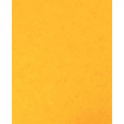 LOT DE 10 PROTÈGE-CAHIER 2 GRANDS RABATS FORMAT 18 X 22 CM CARTE LUSTRÉE COLORIS JAUNE