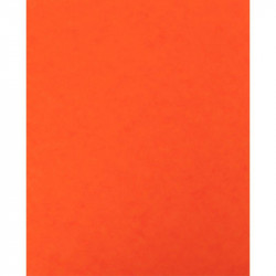LOT DE 10 PROTÈGE-CAHIER 2 GRANDS RABATS  FORMAT 18 X 22 CM CARTE LUSTRÉE COLORIS ORANGE