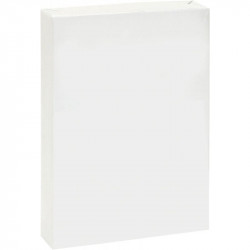 PAPIER A4 80G BLANC ECO  RAM500F DONT ECOFOLIO 0.13CTS EUROPE 100 % RECYCLABLE