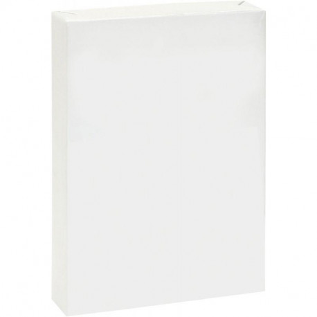 PAPIER A4 80G BLANC ECO  RAM500F DONT ECOFOLIO 0.13CTS EUROPE 100 % RECYCLABLE