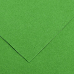 PAQUET DE 10 FEUILLES COLORLINE 50X65 CM 150 G VERT FRANC