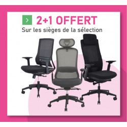 PACKS PROMO 2+1 OFFERT*